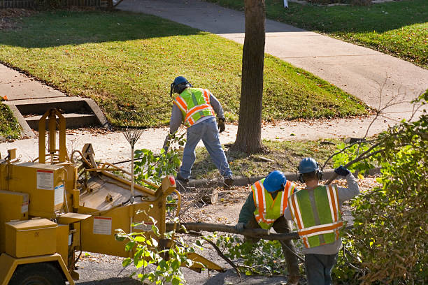 Seasonal Cleanup (Spring/Fall) in Saxon, SC
